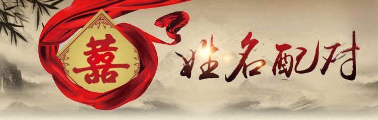 姓名配对