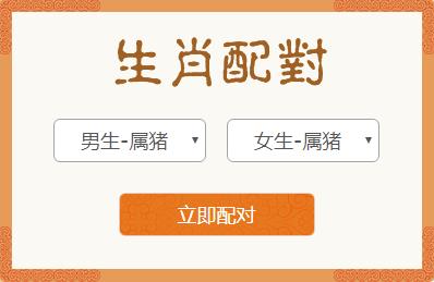 属兔男和属马女生肖配对